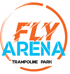 FlyArena